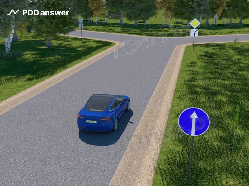 В каких направлениях водителю синего легкового автомобиля разрешается продолжить движение на ближайшем по ходу движения перекрёстке?