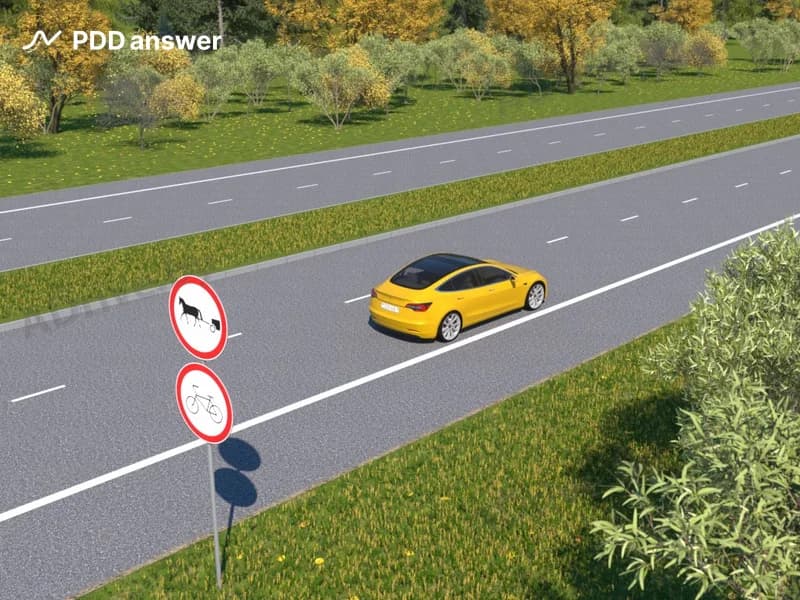 Правильно ли водитель жёлтого автомобиля занял положение на проезжей части при движении по данной дороге?