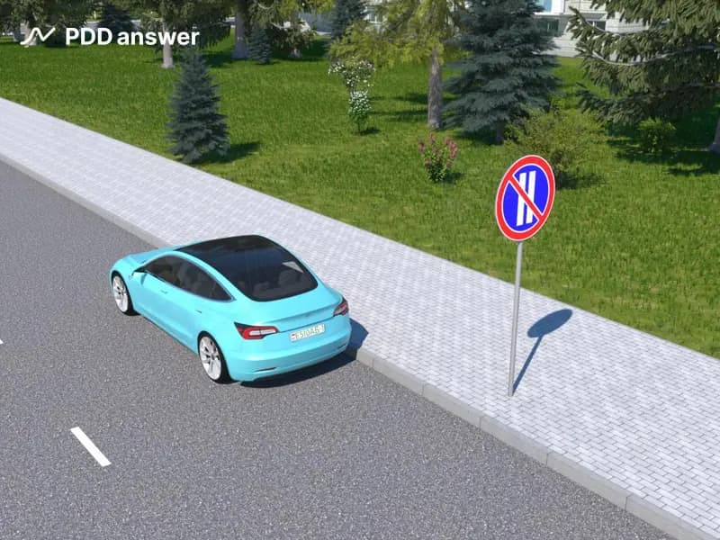 Вынужденная остановка автомобиля вызвана неисправностью рабочей тормозной системы. Должен ли водитель в показанной ситуации включить аварийную световую сигнализацию и выставить знак аварийной остановки?