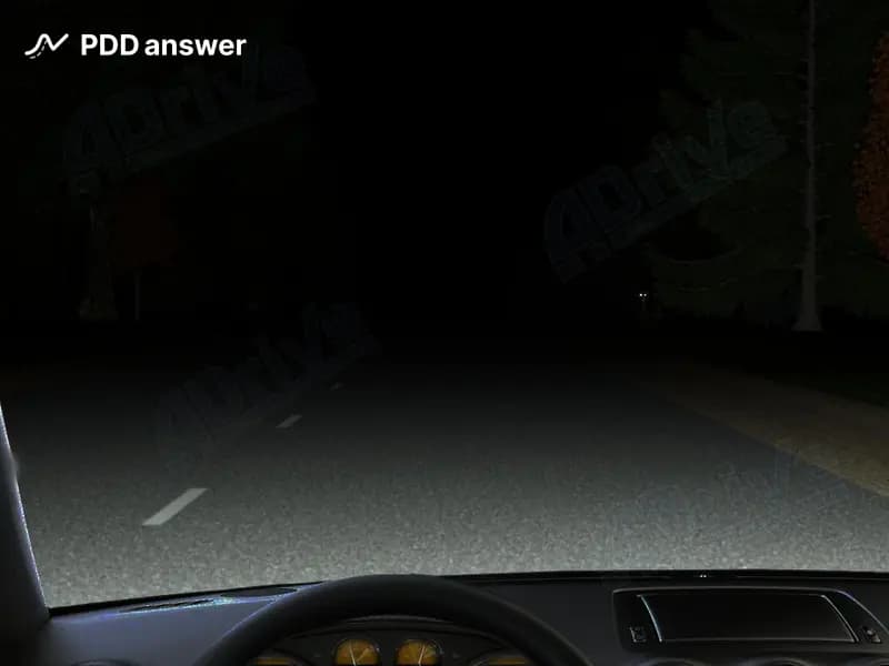 Двигаясь в тёмное время суток вне населённого пункта, вы увидели справа от дороги два небольших огонька, напоминающие светящиеся глаза животного. Как следует поступить?