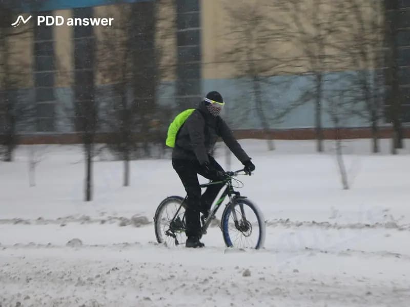 Кто из перечисленных участников дорожного движения не нарушает Правила дорожного движения?
