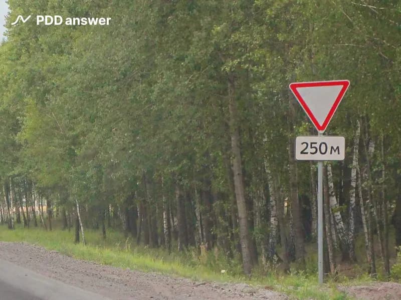 Как следует трактовать показанное сочетание дорожных знаков?