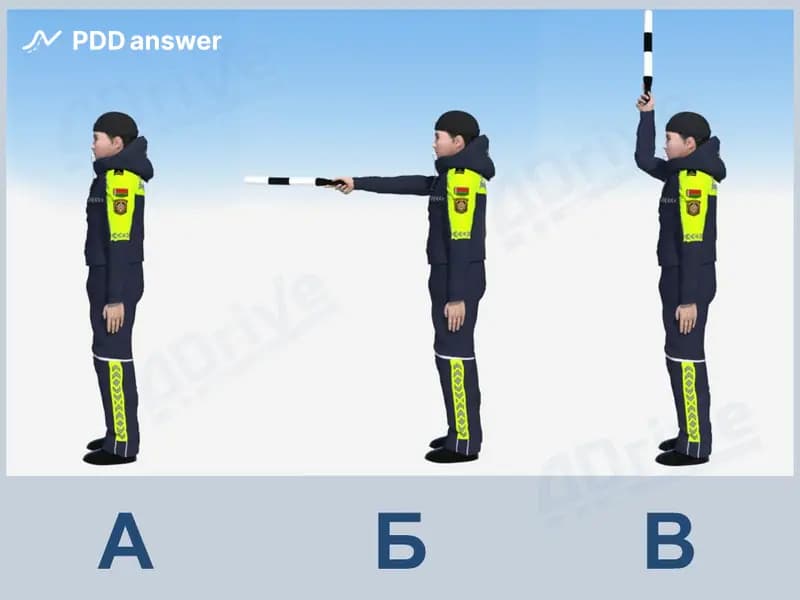 Какие из показанных сигналов регулировщика, учитывая его положение, не запрещают транспортным средствам (за исключением трамваев) движение прямо?