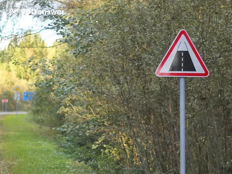 О чём предупреждает показанный дорожный знак?