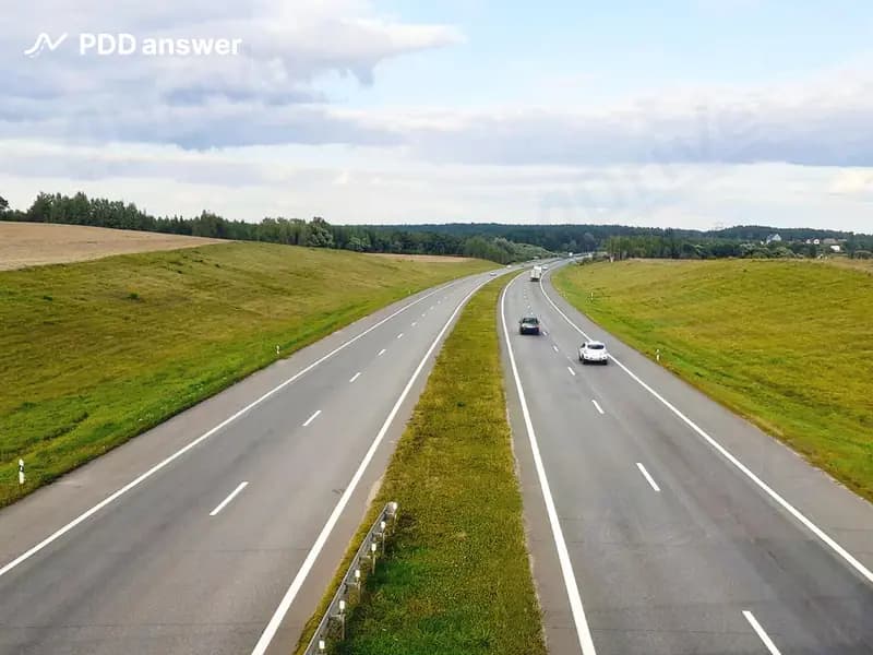 Сколько всего полос движения на изображённом участке дороги?