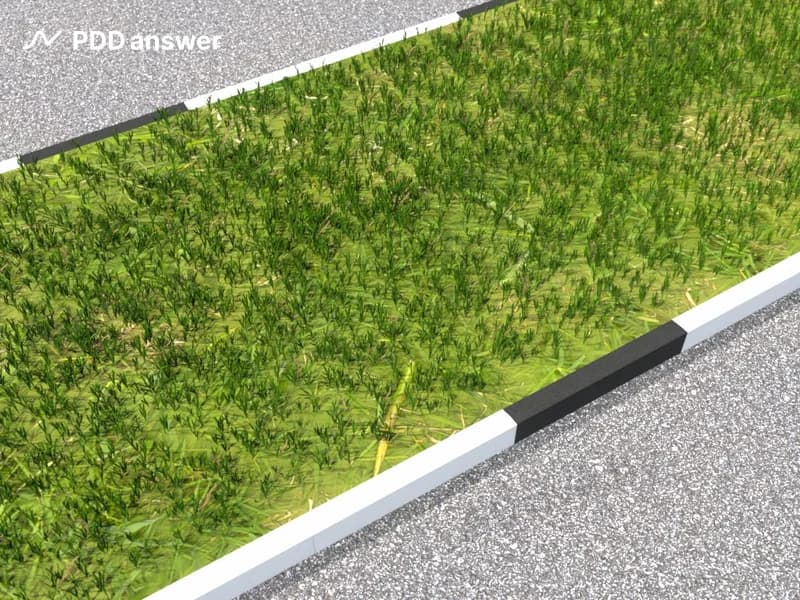 Что означает вертикальная дорожная разметка, показанная на рисунке?