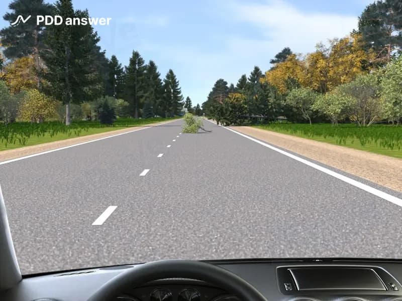 Как следует поступить Вам при обнаружении на дороге препятствия, создающего опасность для движения?