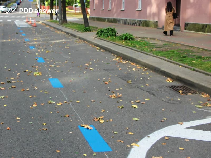 Для чего предназначена горизонтальная дорожная разметка синего цвета?