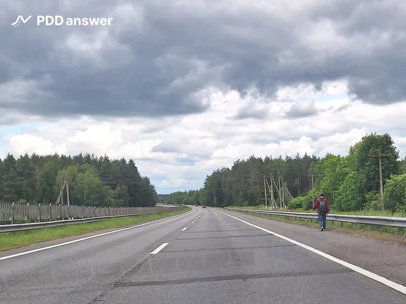 Разрешается ли движение пешеходов по обочине дороги, обозначенной дорожным знаком «5.3 Дорога для автомобилей»?
