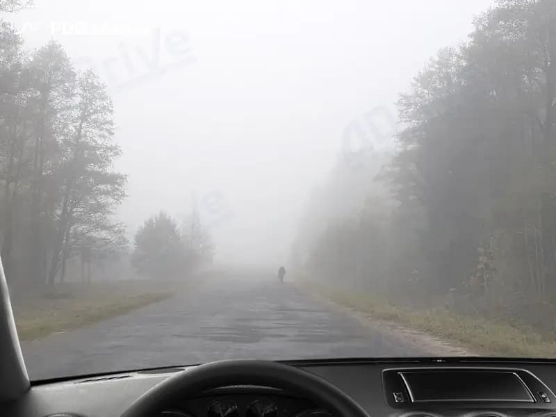 В каком из перечисленных случаев водитель выполнит требования Правил дорожного движения, если во время движения в светлое время суток при недостаточной видимости дороги погасли фары (не горит ни ближний, ни дальний свет), а устранить неисправность не представляется возможным?