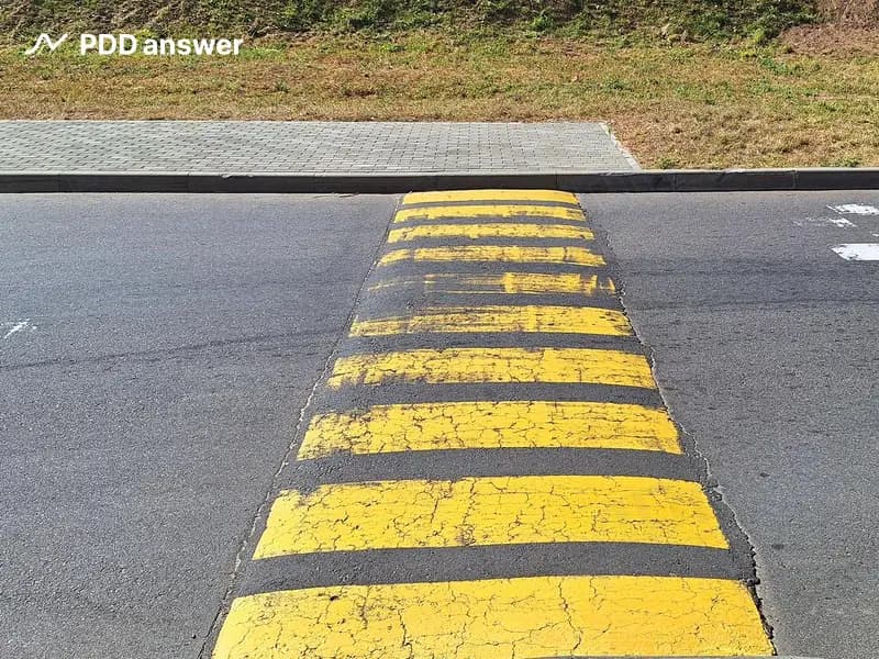 Каково назначение показанной горизонтальной дорожной разметки жёлтого цвета?