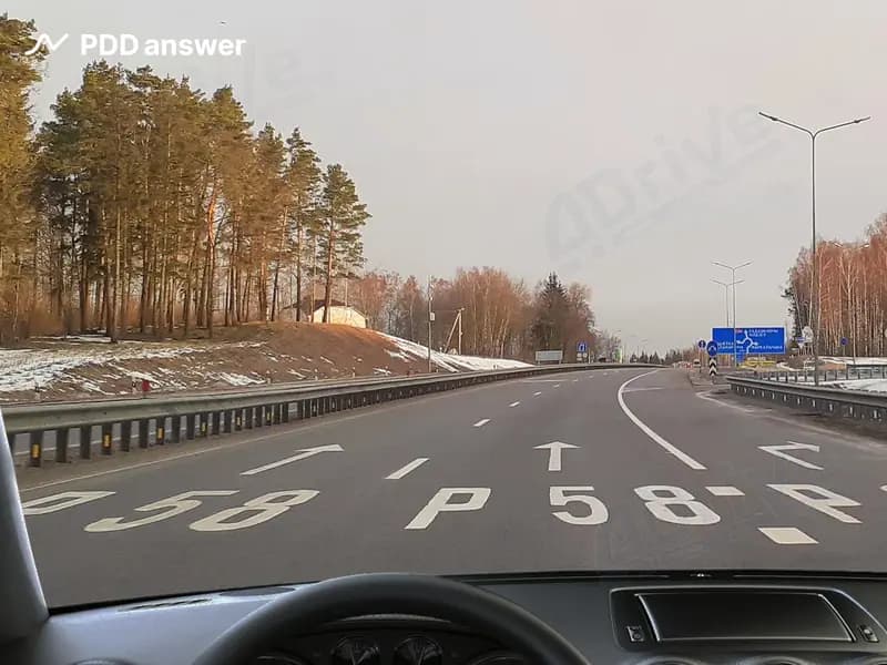 Что обозначают показанные надписи на проезжей части дороги?