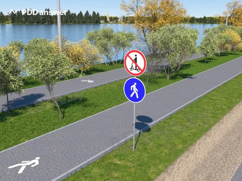 Разрешено ли передвижение на средстве персональной мобильности по элементу дороги, обозначенному показанным запрещающим знаком?