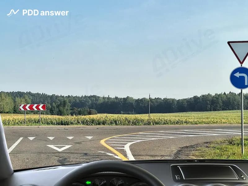 Обязаны ли Вы остановиться в показанной ситуации при отсутствии на пересекаемой дороге приближающихся транспортных средств, иных участников дорожного движения, которым необходимо уступить дорогу (предоставить преимущество)?