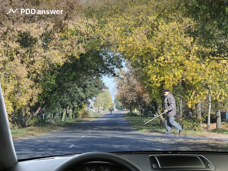 Как Вы должны поступить в показанной ситуации, если к проезжей части дороги приближается пешеход с тростью белого цвета?