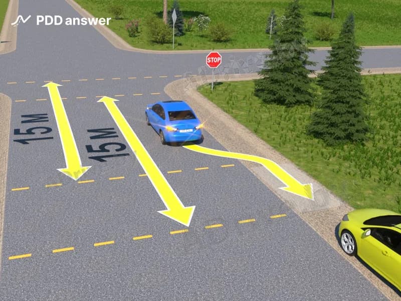 Разрешено ли водителю синего легкового автомобиля припарковаться с применением заднего хода в показанном месте для высадки пассажира?