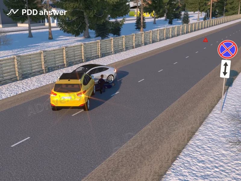 Обязан ли водитель, являющийся участником дорожно-транспортного происшествия, принять меры по оказанию необходимой помощи пострадавшему (пострадавшим)?