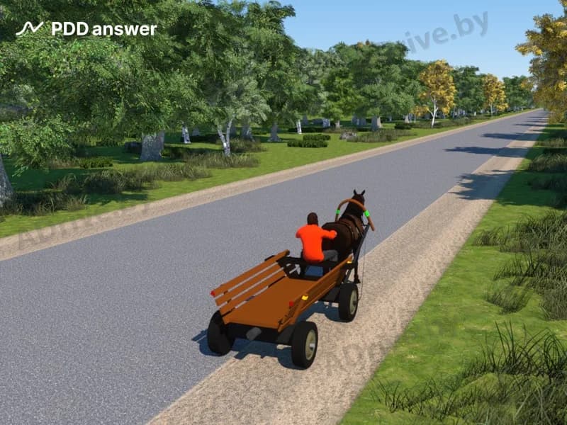 По достижении какого возраста разрешается управлять гужевым транспортным средством?