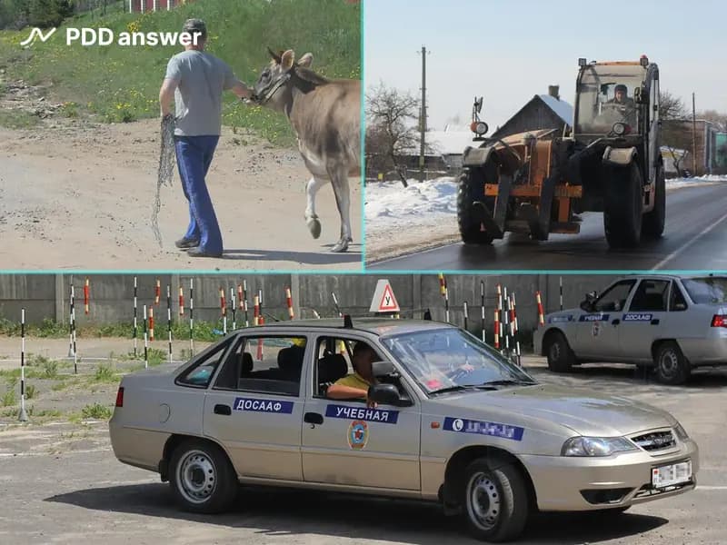 Какие из нижеперечисленных лиц являются водителями?