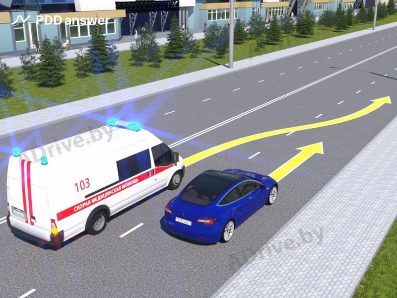 Кто в показанной ситуации пользуется преимуществом?