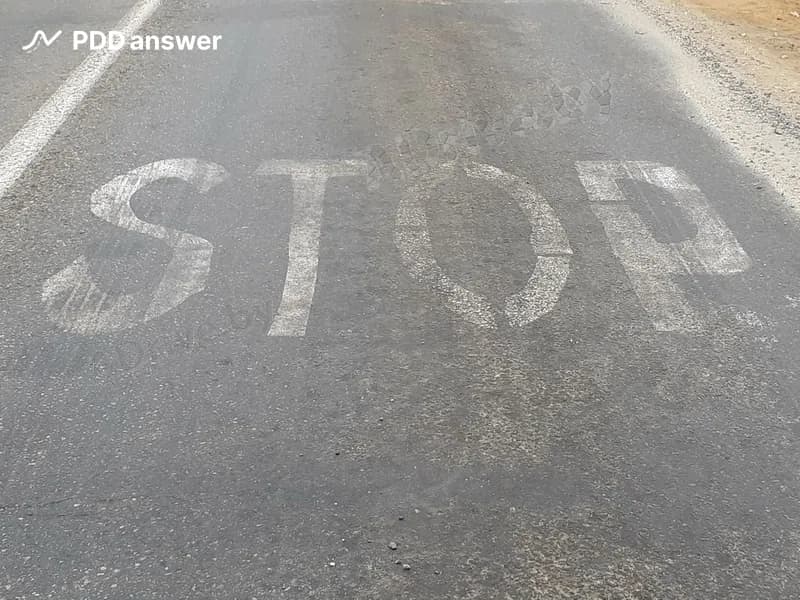 Какое назначение имеет показанная надпись на проезжей части дороги?