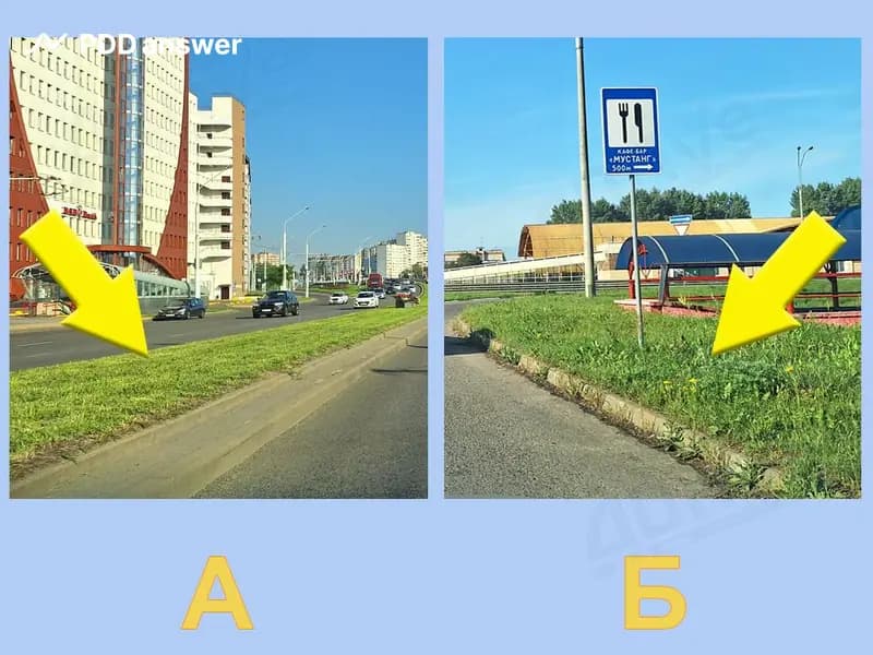 Какие фрагменты рисунка соответствуют определению «газон»?