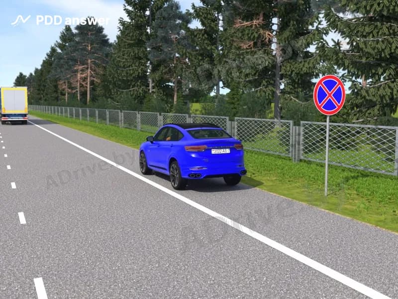 Водитель легкового автомобиля совершил вынужденную остановку на обочине. Должен ли он в показанной ситуации включить аварийную световую сигнализацию и выставить знак аварийной остановки?