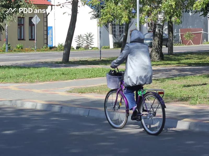 Разрешается ли движение велосипедисту по проезжей части дороги в показанной ситуации при наличии тротуара, если он движется не в зоне с ограничением максимальной скорости движения?