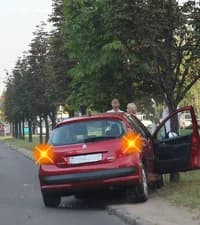 Имеет ли право водитель, совершивший наезд на растущее дерево, не сообщать о случившемся в ГАИ, если в результате вред, причинённый его автомобилю, оценивается им в размере до 150 базовых величин?