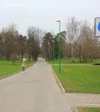 Разрешено ли движение транспортных средств в зоне действия показанного дорожного знака в перечисленных случаях?