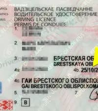 Прекращается ли право управления механическим транспортным средством по истечении установленного срока действия водительского удостоверения?