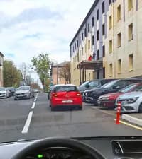 Должны ли Вы, управляя автомобилем, уступить дорогу встречному автомобилю в показанной ситуации?